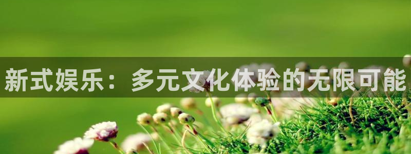 新式娱乐：多元文化体验的无限可能