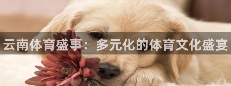 云南体育盛事：多元化的体育文化盛宴