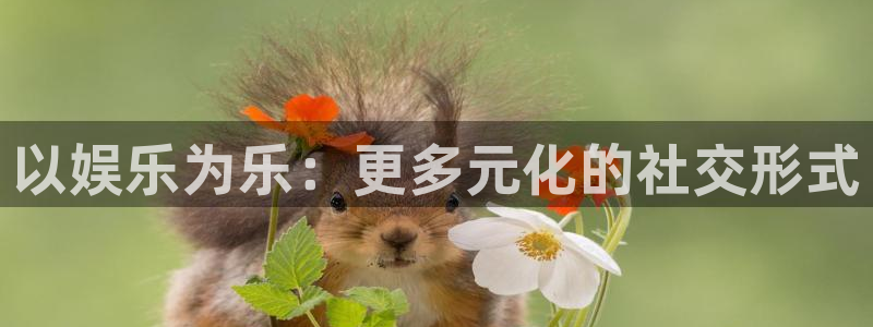 以娱乐为乐：更多元化的社交形式