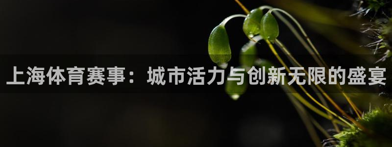 上海体育赛事：城市活力与创新无限的盛宴