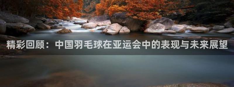 精彩回顾：中国羽毛球在亚运会中的表现与未