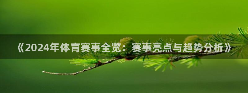 《2024年体育赛事全览：赛事亮点与趋势