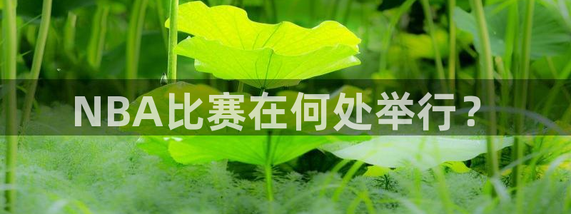 NBA比赛在何处举行？