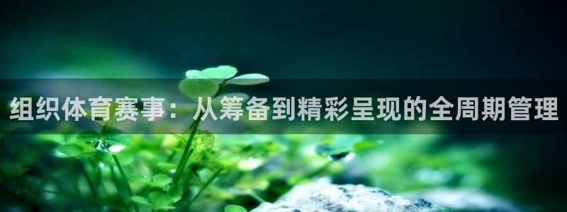 组织体育赛事：从筹备到精彩呈现的全周期管