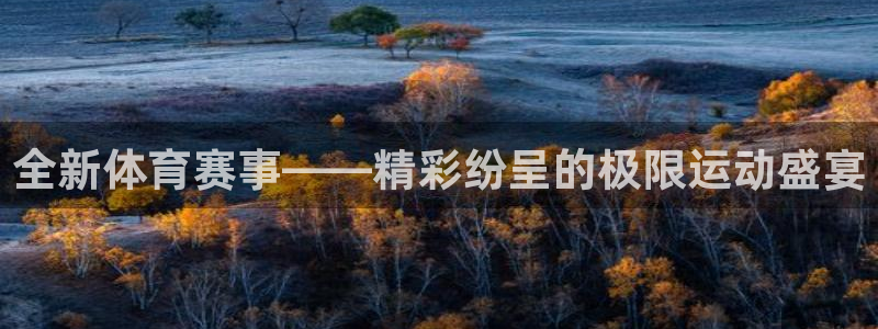 全新体育赛事——精彩纷呈的极限运动盛宴