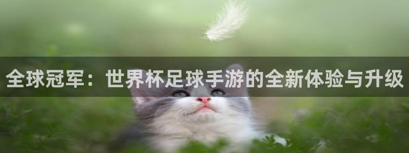 全球冠军：世界杯足球手游的全新体验与升级