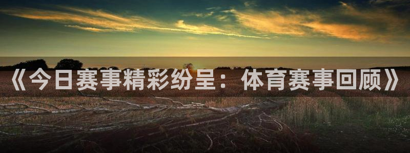 《今日赛事精彩纷呈：体育赛事回顾》