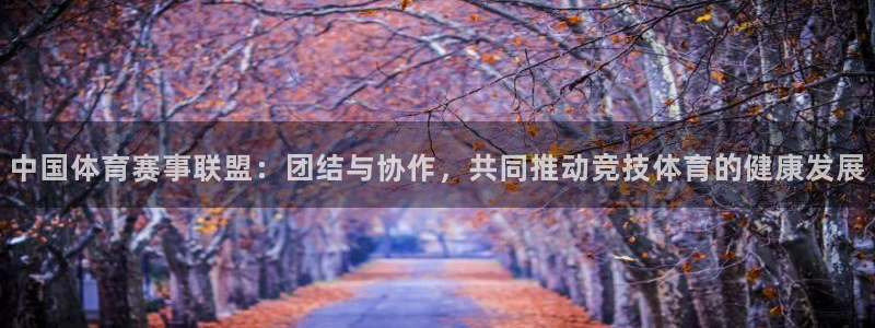 中国体育赛事联盟：团结与协作，共同推动竞